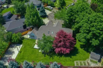 Aerial view of back yard. photo 2023