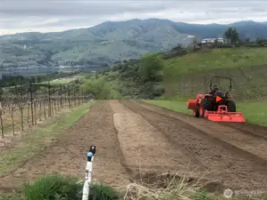 Lots of work goes into managing the vines towards production. If you're not into farming, besides the Sellers, there are many who would help with this.
