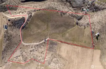 14.21 acres of prime vineyard land with 4+ acres planted and yielding 800 cases a year.