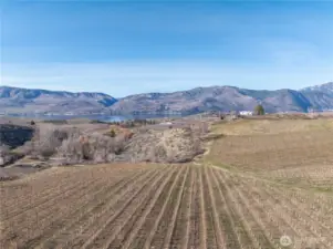 Taken early in the season....The buds coming on and the grass greening to enhance the beauty of this property.