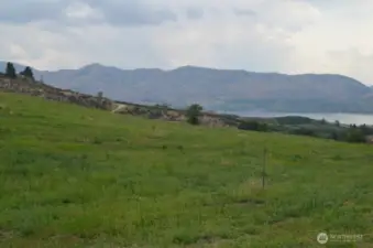 Lush Springtime of the 14.21 acres with 9 acres of irrigation water rights, 4+ acres planted.