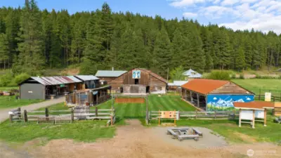 Nelson Farms