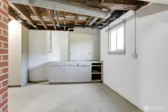 Unfinished Basement