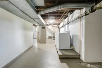 Unfinished Basement