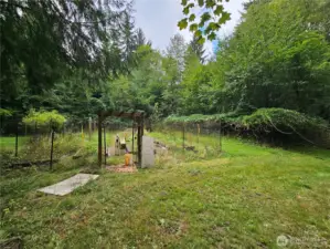 The Secret Garden with Grapes on the Right, Blueberries on the left