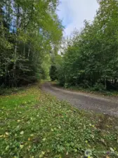 Country Road, Take Me Home!