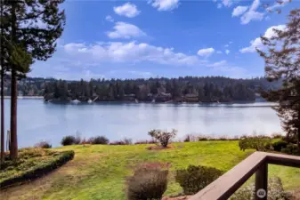 Park like space for picnics or dog play.