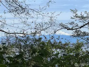 Once the brush & a few trees are cleared, you'll have an amazing water, Everett & snow capped mountain view!