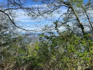 Once the brush & a few trees are cleared, you'll have an amazing water, Everett & snow capped mountain view!
