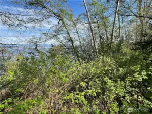 Once the brush & a few trees are cleared, you'll have an amazing water, Everett & snow capped mountain view!