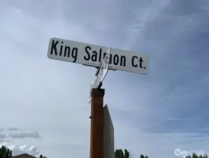Lot is located on King Salmon CT