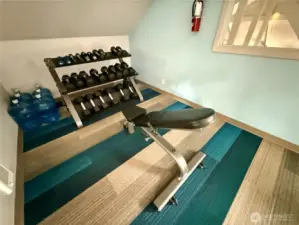 Free weights