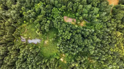 Lot 49 showing Beaver pond and partial cleared acre