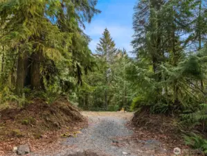 5 acres- existing driveway and cleared level site