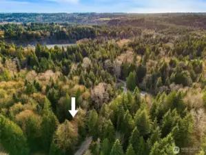 Looking West- existing driveway location