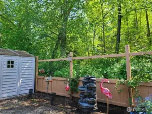 Beautiful greenpace for privacy