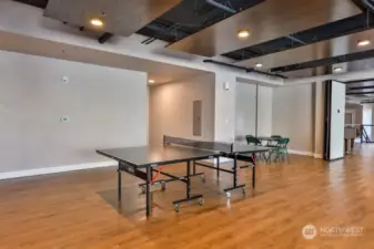 Common Area Ping Pong Table