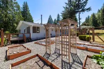 Raised beds & trellises