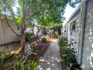 Concrete walkway around the house. Park-like feeling.