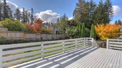 A peaceful view of the deck, bathed in natural light and surrounded by lush greenery.