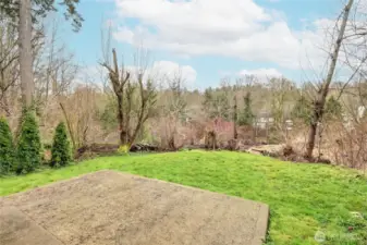 Back yard