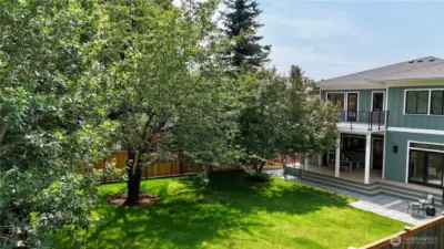 Amazing huge backyard is level, fully fenced, grassy and connected directly to the living room and kitchen.