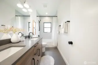 Lower level full bath.