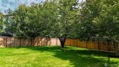 Amazing huge backyard is level, fully fenced, grassy and connected directly to the living room and kitchen.