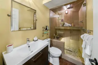 Lower suite spa bathroom with steam shower