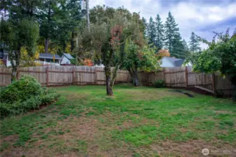 Backyard with fruit trees