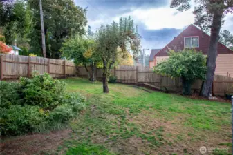 Fully fenced backyard