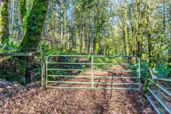 Gate into the property