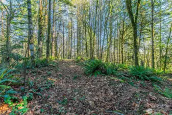 Still moving up on the road.