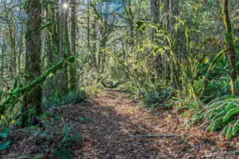 Coming back down the road towards the gate