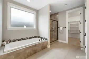 Primary bath featuring separate tub and shower