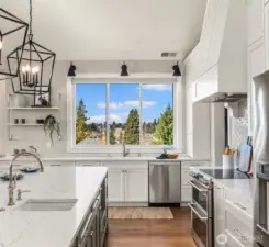 Induction range but plumbed for gas as well.