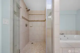 Primary Large Walk in Shower