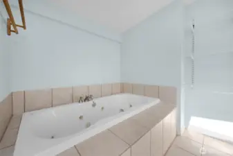 Primary Bath with Jetted Soaking Tub