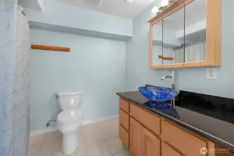 Stylish Lower Level Bath with Tub and Shower