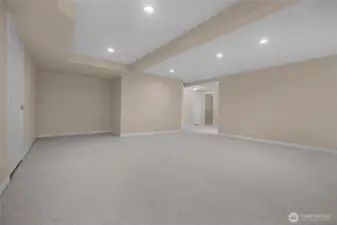 Lower Level Family Room