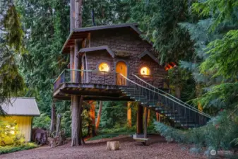 "Owl" treehouse