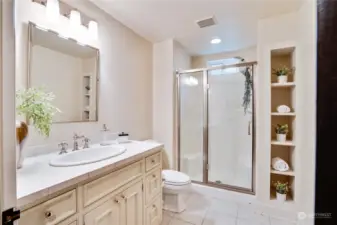 Lower level bathroom