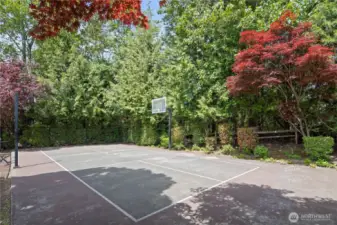 Community Sport court