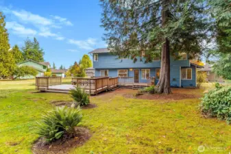 Park like back yard