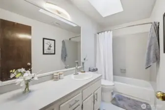 Guest bathroom with nice skylight!