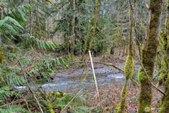 Maple Creek at back of property