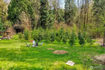 Enjoy outdoor living with plenty of space for  gatherings, gardening, or future possibilities for ADU