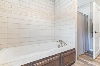 Tub and shower with beautiful custom tile work.