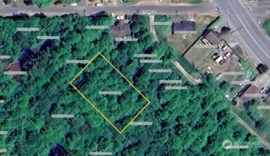 Green Outline is Subject Property, Yellow is Adjacent Property. Pulled From Grays Harbor County Website.