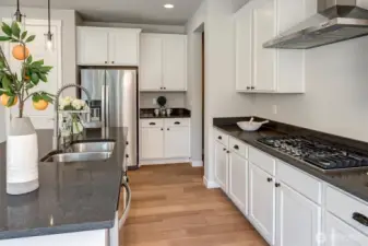 Quartz counters, gas cooking and stainless steel appliances